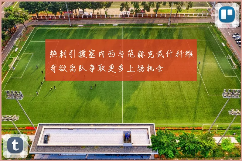热刺引援塞内西与范赫克武什科维奇欲离队争取更多上场机会